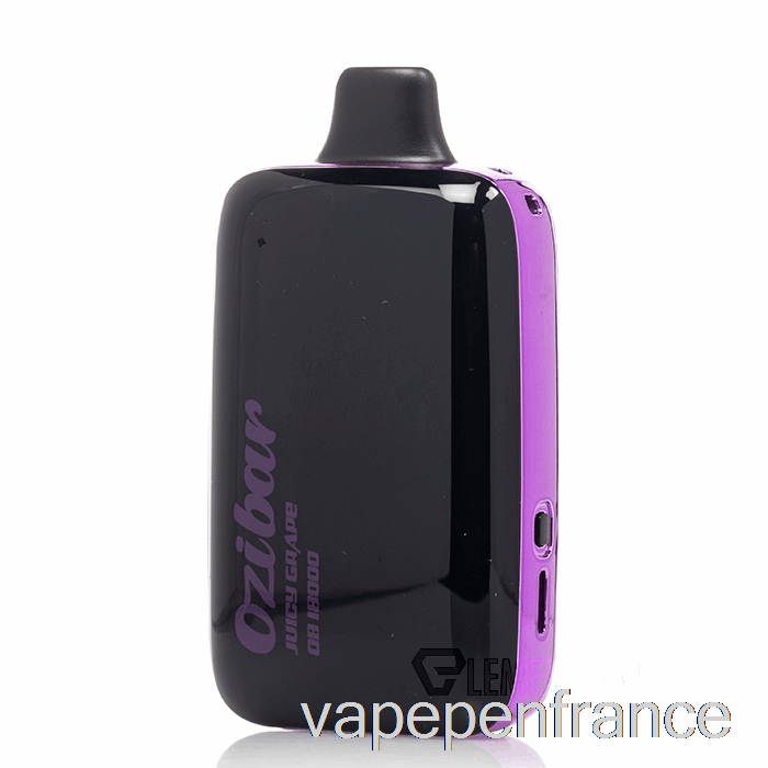 Stylo Jetable De Vape De Raisin Juteux D'ozibar 18000